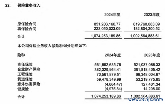开始:2024年年报